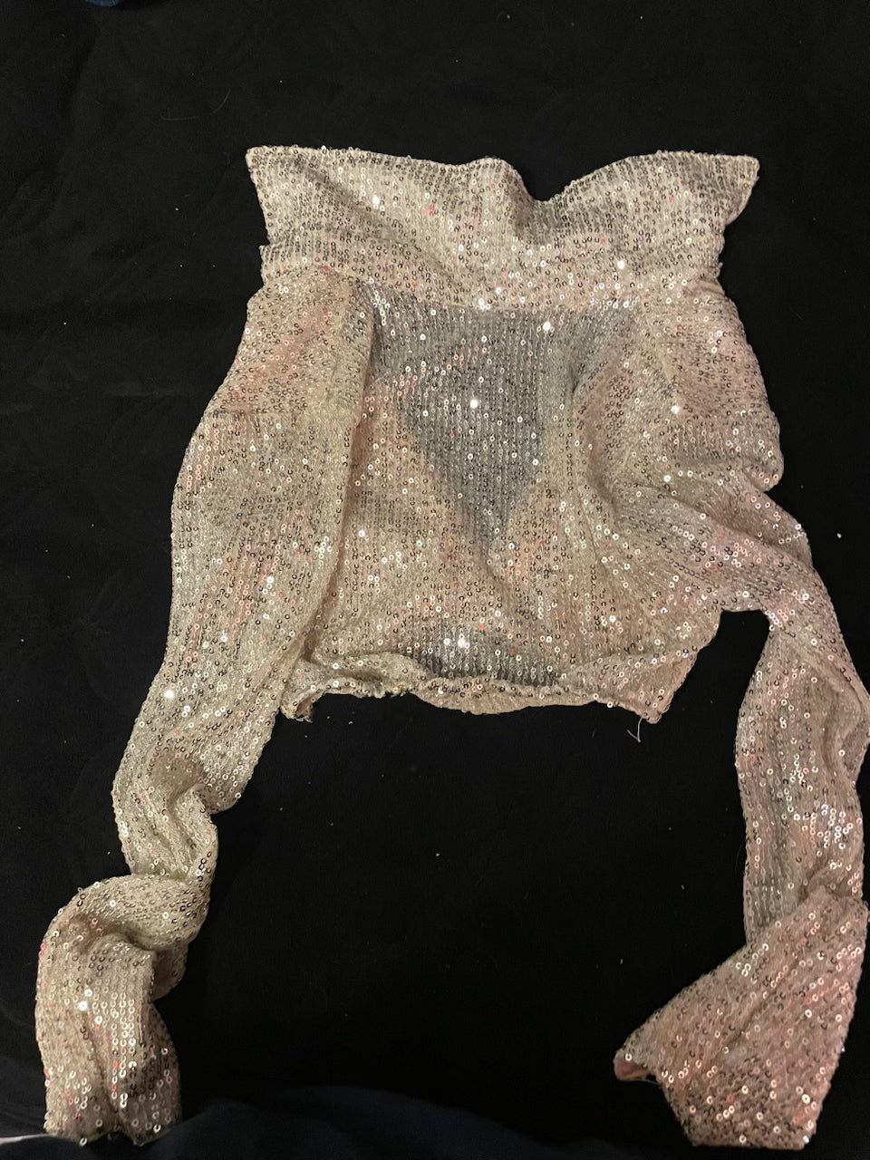 Shimmering Long Sleeve Crop - Jazz Costume Top